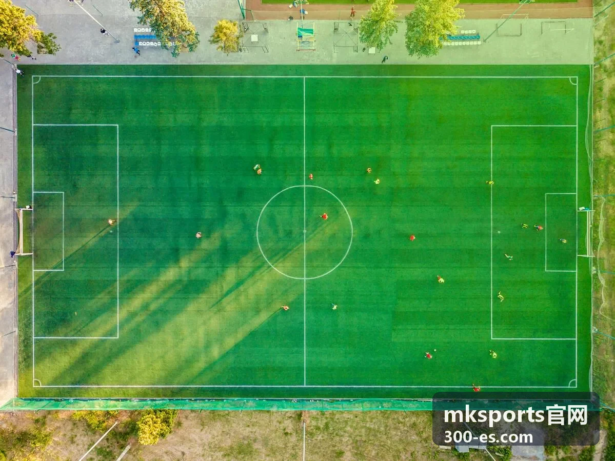 mksports官网球队数据看板界面示意