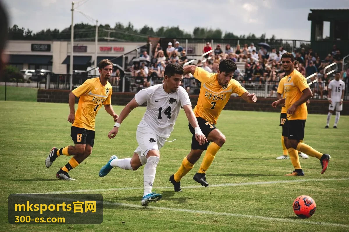mksports官网资格赛与预选进度封面